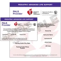 PALS Certification Card Sacramento